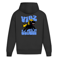 v1bz stuttgart